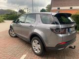 Land Rover Discovery Sport D180 S 4WD Leder AHK Kamera Aut. - Land Rover Discovery Sport von privat
