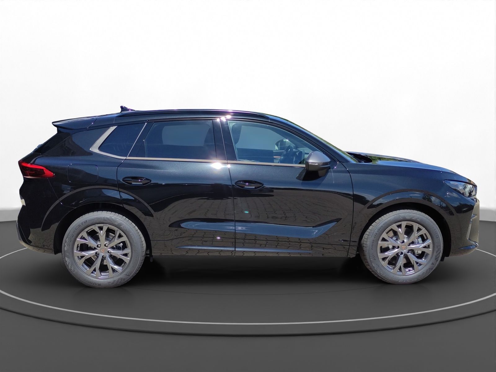 Cupra Terramar - Bild 7