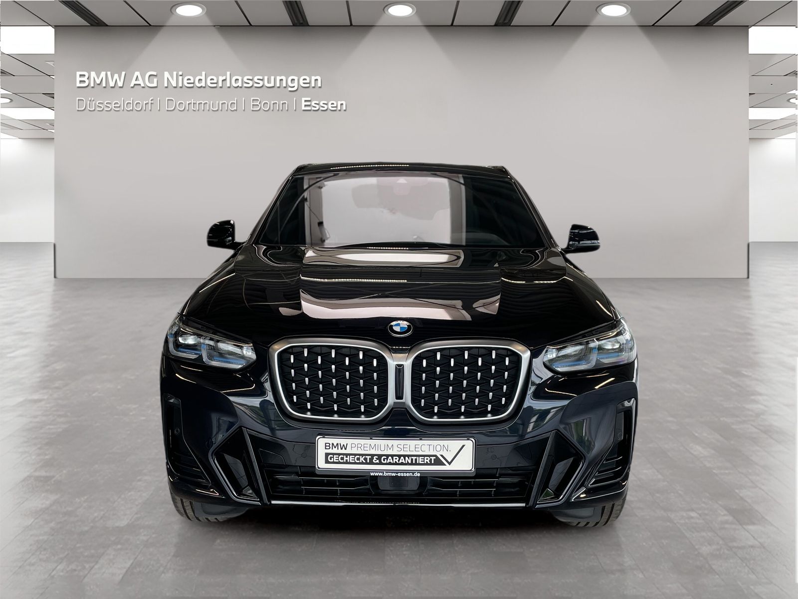 BMW X4 - Bild 8