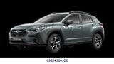Subaru Crosstrek 2.0ie Trend Lineartronic 4WD+AHK - graue Subaru Crosstrek