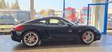 Porsche Cayman S Typ 981 - Porsche: 981