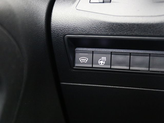 Opel Combo Cargo E 1.5D KLIMA WINTERPAK SITZH APP LED