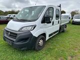 Fiat Ducato Pritsche Doppelk 35 140 L4  7Sitze - Fiat: 7 Sitzer