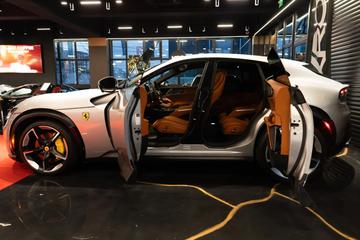 2023 Ferrari PUROSANGUE — миниатюра 18