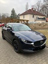 Mazda CX-30 2.0l 122 PS M-Hybrid Selection+Standhzg - Mazda CX-30 in Dresden