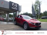 Mazda CX-30 Exclusive-Line 186 Automatik 2025|Navi|Mat - Mazda CX-30 mit Benzin-Antrieb: Exclusive Line