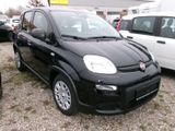Fiat Panda MY24 - Fiat Panda Tageszulassungen mit Benzin-Antrieb: Limousine