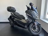 Honda NSS 350 FORZA ABS *erste Hand*Scheckheft* - HONDA 350