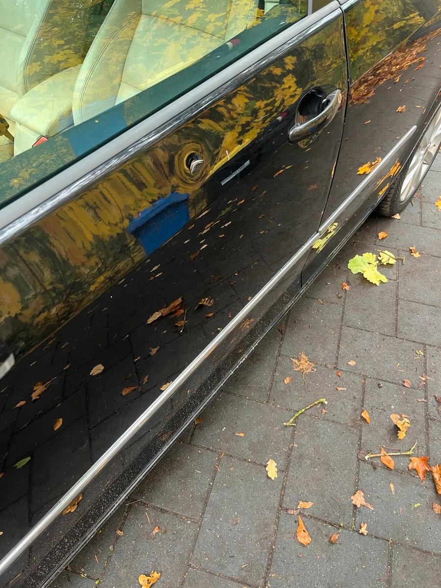 Volkswagen Golf Plus 2009 — photo 8
