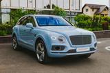 Bentley Bentayga 4.0 V8 Diesel 4WD Autom. - Bentley: Geländewagen