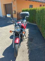 Honda NTv 650 Revere  - HONDA NTV 650 REVERE