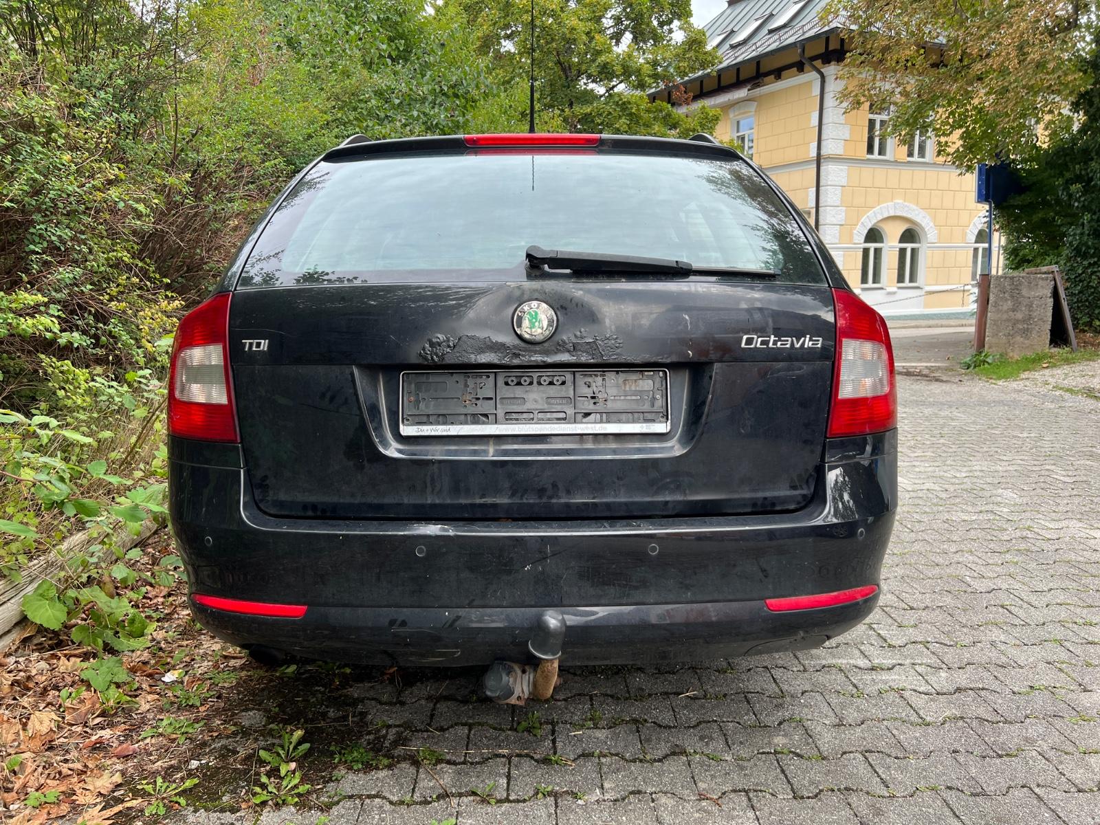 Skoda Octavia 2010 — photo 8