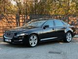 Jaguar XJ Portfolio 3.0 V6 Kompressor AWD Langver. - Jaguar XJ: V6