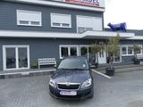 Skoda Fabia Combi Family - Skoda Fabia Gebrauchtwagen in Magdeburg