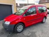Volkswagen Caddy Life Gewinner Caddy - Volkswagen Caddy: Gewinner