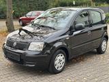 Fiat Panda 1.2 8V Classic*KLIMA*NUR 77.TKM*TOP*EURO5* - Fiat Panda: 2t