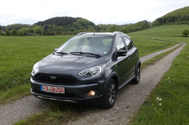 Ford KA+ Active 1,2 // Cool & Sound u. Winterpaket