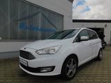 Ford Grand C-Max 2.0 TDCi Titanium Navi/Teilleder/PDC - Ford Grand C-Max mit Diesel-Antrieb