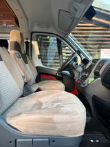 Globecar Globescout R Plus Heavy - Globescout