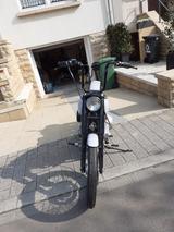 Harley-Davidson Shovelhead Fx - HARLEY-DAVIDSON SHOVELHEAD