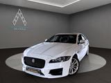 Jaguar XF 3.0 R-Sport *HEAD-UP*ACC*VOLL-AUSTATTUNG* - Jaguar XF mit Diesel-Antrieb: 3.0