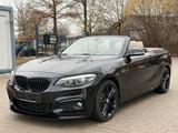 BMW 230i Cabrio  Aut. M Sport LED NAVI LEDER - BMW Gebrauchtwagen von 2017