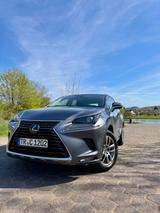 Lexus NX 300 300h - Hybrid Business line - Lexus NX-Serie Gebrauchtwagen