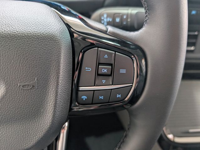 Ford Tourneo Custom Aut L1 Tit X 4WD Standheizung