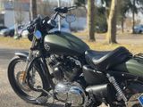 Harley-Davidson Sportster / XL 1200 C - Offers matching your search criteria