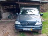 Mercedes-Benz Nachbar Mercedes Benz ML 320 Benziner - Mercedes-Benz ML 320 aus 1999