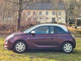 Opel Adam Glam *LEDER*SHZ*LKRHZ*PANO*SCHECKHEFT* - Opel ADAM GLAM mit Benzin-Antrieb
