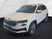 Skoda Karoq - Vorschau Bild 1