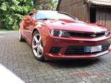 Chevrolet Camaro 6.2,MT,EU, 1.Hd,432PS,Gen5,unfallfrei - Chevrolet: Eu