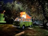 Volkswagen T2b Westfalia Berlin, HU neu, H-Kennzeichen - Volkswagen T2: Van, Westfalia