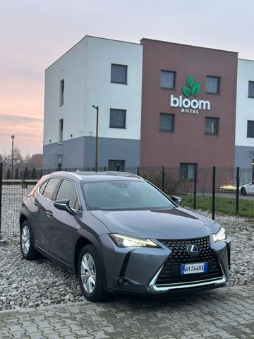 Lexus UX 250 h