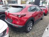 Mazda CX-30 2.0L e-SKYACTIV G 150ps Exclusive DASO - Mazda CX-30 aus 2023