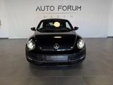 Volkswagen Beetle Cabrio Allstar*Xenon*SHZ*RFK*19Zoll*Leder - gebrauchte VW Beetle aus dem Jahr 2017