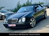 Mercedes-Benz CLK 430 AVANTGARDE Automatik * Super-Optik * - Mercedes-Benz CLK 430: Cabrio
