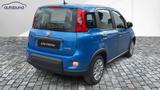 Fiat Panda 1,0 Hybrid (MHEV) Pandina Base DAB MFL PDC - Fiat Panda in Stuttgart