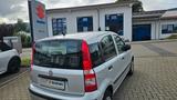 Fiat Panda 1.2 8V Dynamic - Fiat Panda aus 2010