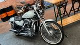 Harley-Davidson Sportster XL 1200 Custom - HARLEY-DAVIDSON 2004 1200 SPORTSTER