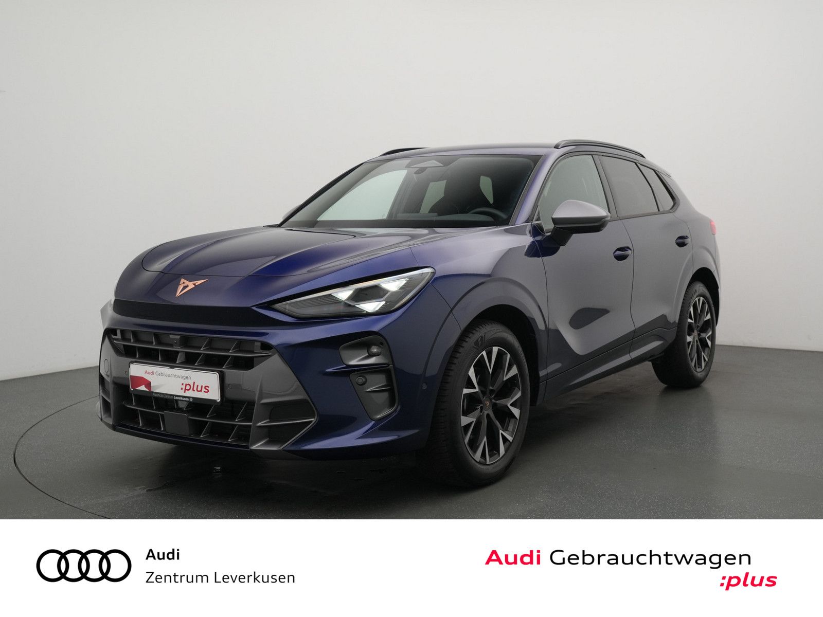 Cupra Terramar MEMORY CARPLAY LED KEYLESS PDC LEDER