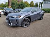 Lexus UX 250h Amazing Edition Keyless PDC - Lexus UX: Automatik