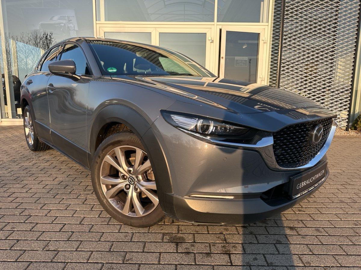 Mazda CX-30 Selection Matrix Freisprech LogIn RFK RVM 