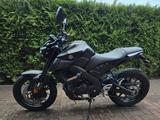 Yamaha MT 125 - YAMAHA MT125