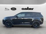Land Rover Discovery Sport P250|Black Pack|Pano|7-Sitzer - Land Rover Discovery Sport: Black