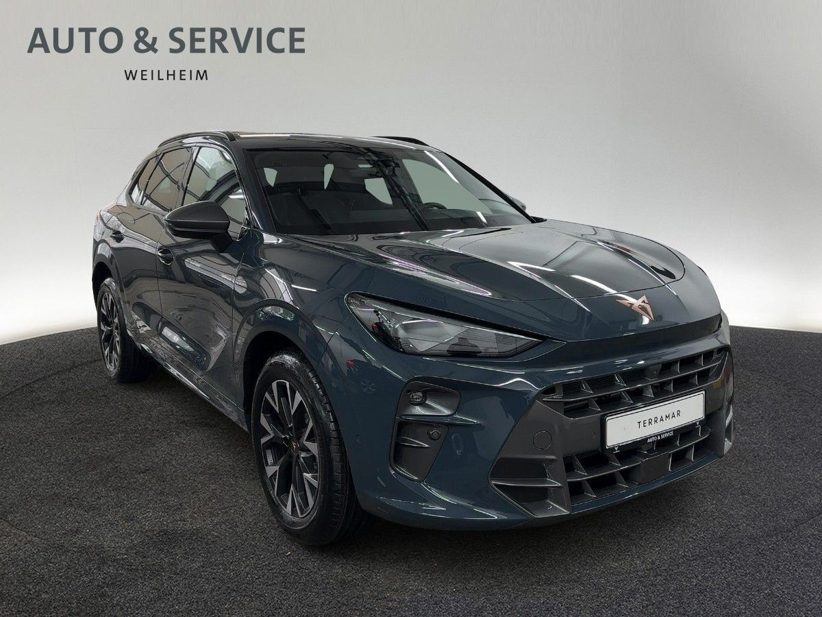Cupra Terramar - Bild 4