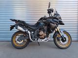 VOGE DS625X Modell 2025 - VOGE DS625X