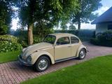 Volkswagen Käfer 1300 - Offers