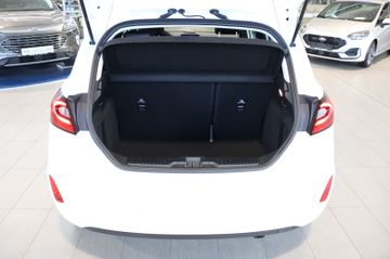Fahrzeugabbildung Ford Fiesta 1,0 EcoBoost Titanium Vignale Aut.